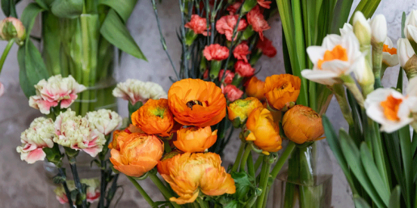 Cómo elegir la rosa perfecta para tu ocasión